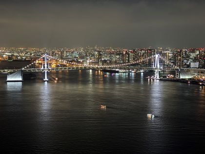 HARUMI FLAG SUN VILLAGE T棟 眺望