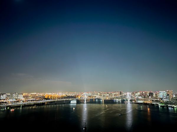 HARUMI FLAG PARK VILLAGE T棟 眺望