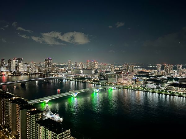 HARUMI FLAG PARK VILLAGE T棟 眺望