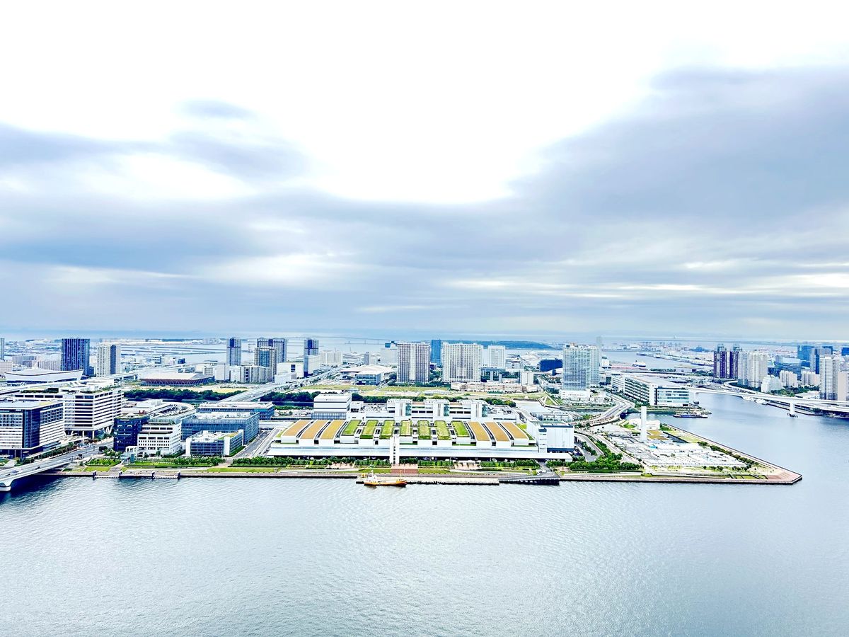 HARUMI FLAG PARK VILLAGE T棟 眺望 眺望