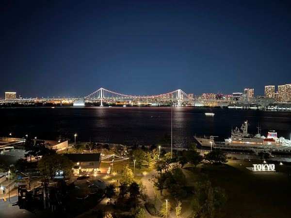 HARUMI FLAG PARK VILLAGE A棟 眺望 眺望