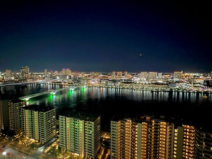 HARUMI FLAG PARK VILLAGE T棟 眺望