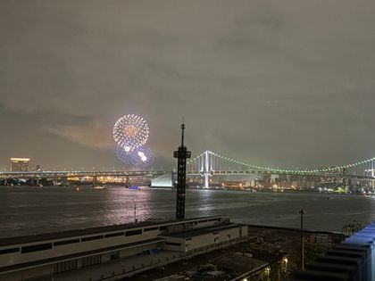 HARUMI FLAG PARK VILLAGE F棟 眺望