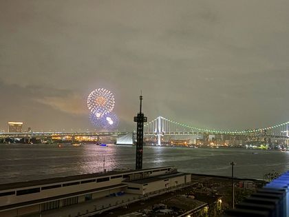 HARUMI FLAG PARK VILLAGE F棟 眺望