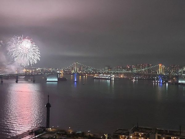 HARUMI FLAG PARK VILLAGE T棟 眺望