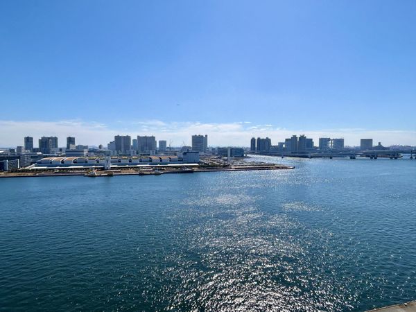 HARUMI FLAG SEA VILLAGE A棟 眺望 HARUMI FLAG SEA VILLAGE A棟 眺望