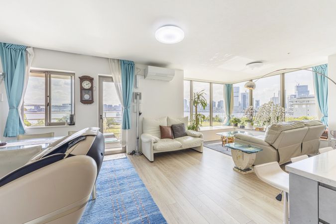 HARUMI FLAG PARK VILLAGE A棟 リビング