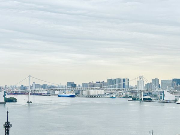 HARUMI FLAG PARK VILLAGE T棟 眺望