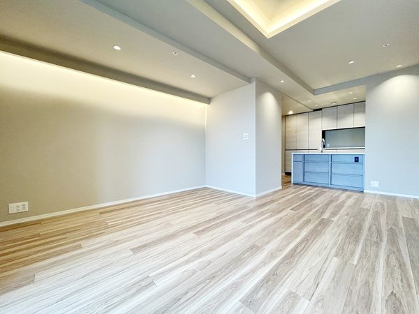 HARUMI FLAG PARK VILLAGE T棟 リビング