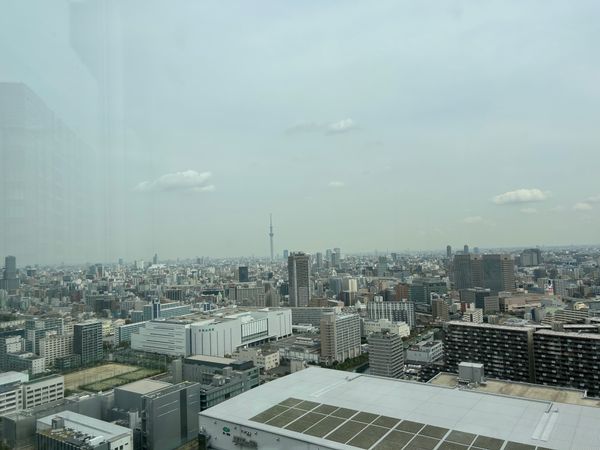 THE TOYOSU TOWER 眺望 THE TOYOSU TOWER 眺望