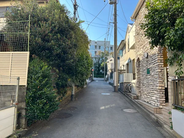 前面道路(北側から撮影)