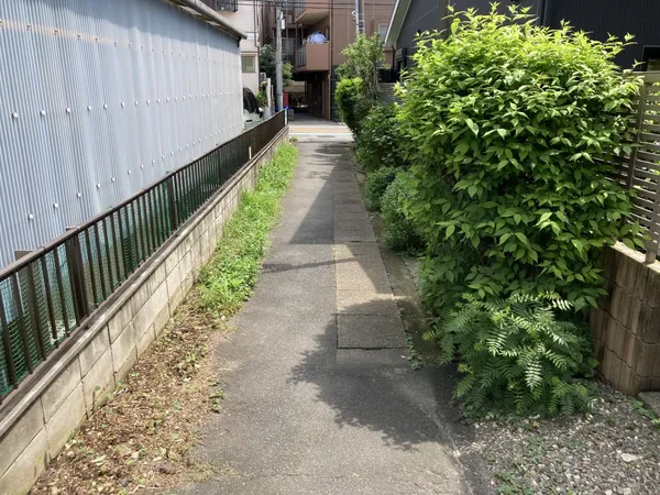 前面道路