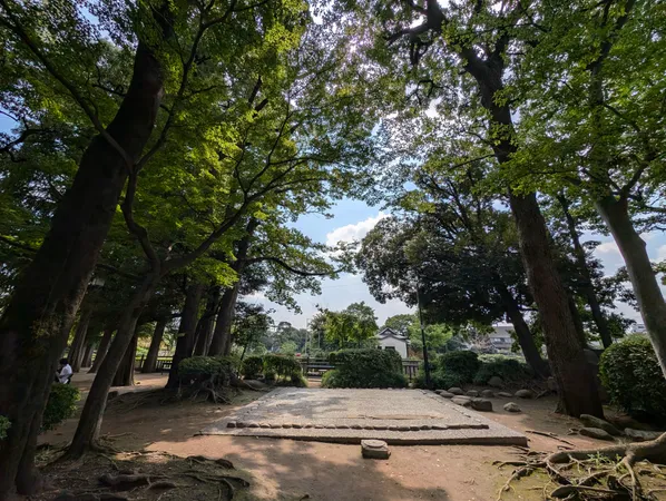 碑文谷公園 約５分（約３５０ｍ）