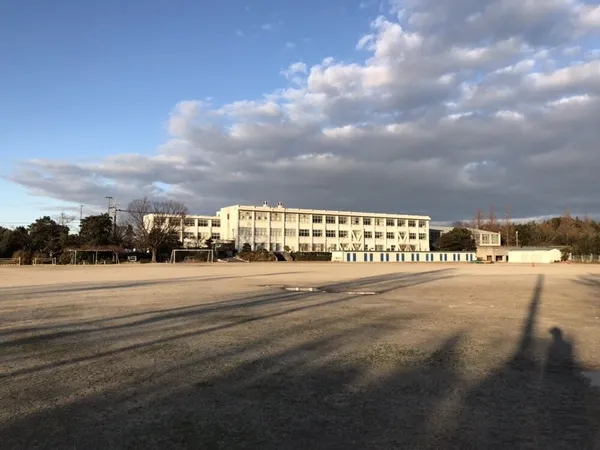 徒歩20分。