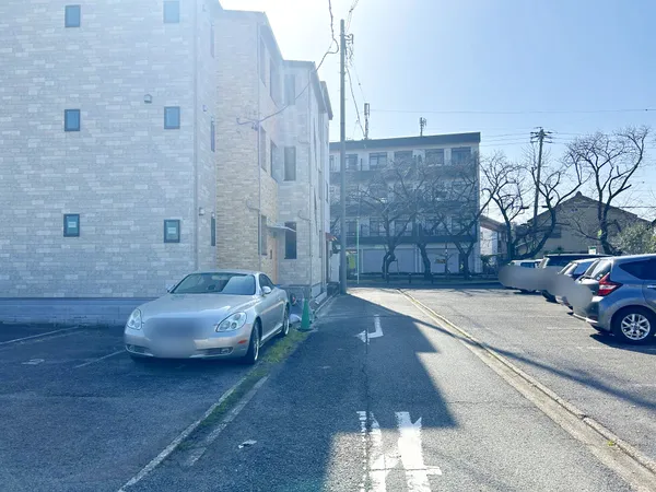 2026年3月1日撮影