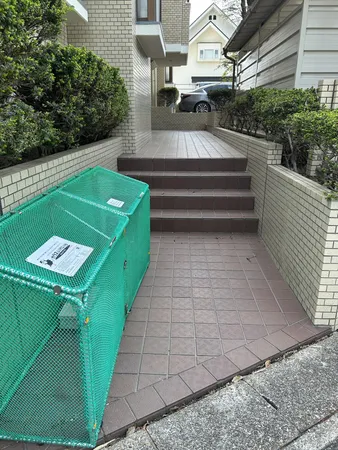 庭