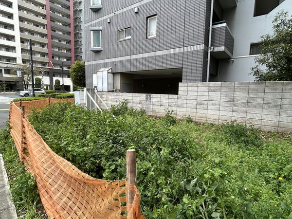 東中延1丁目 土地 土地写真