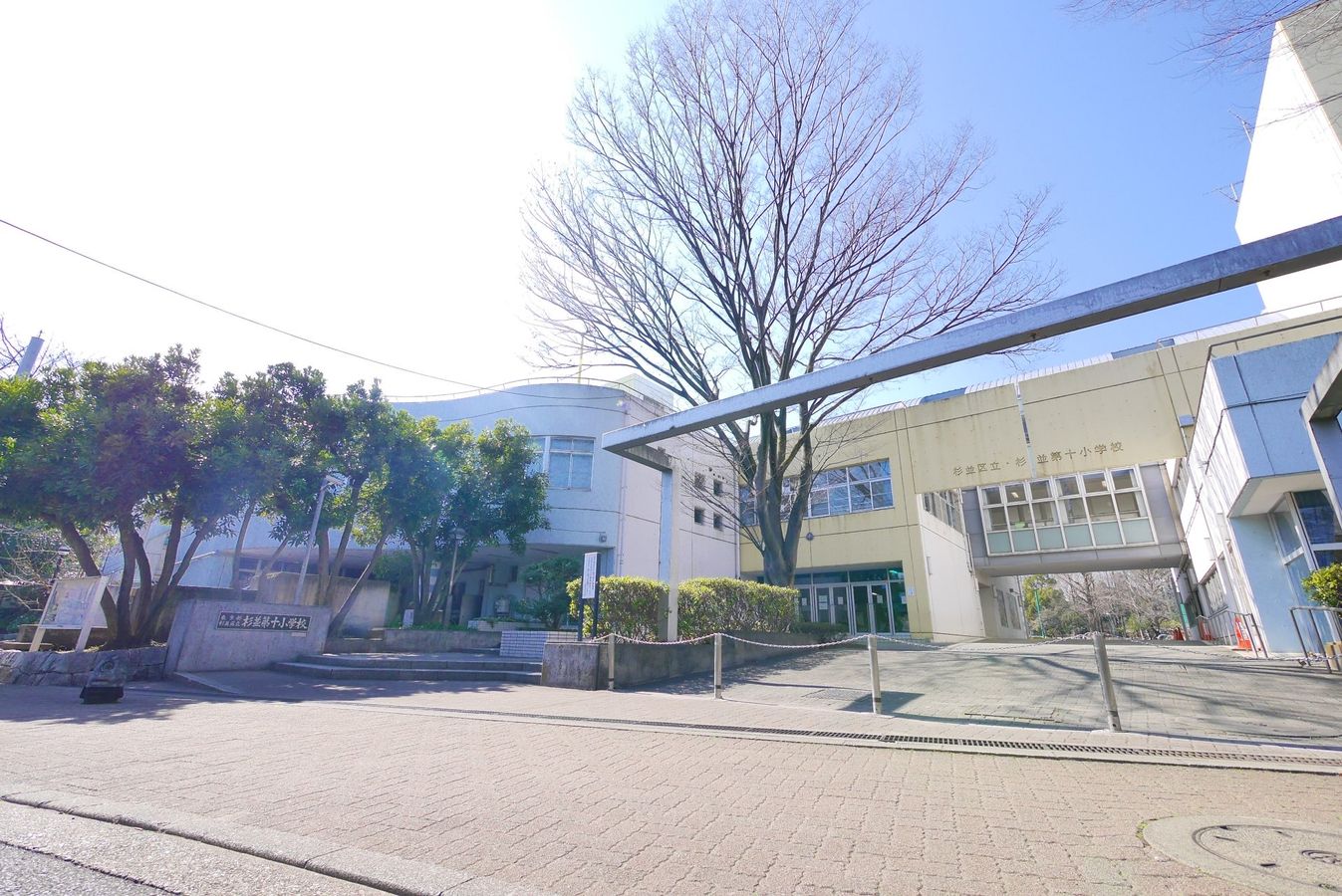 ヴィンテージ杉並・和田 杉並区立杉並第十小学校(約330m) 杉並区立杉並第十小学校(約330m)