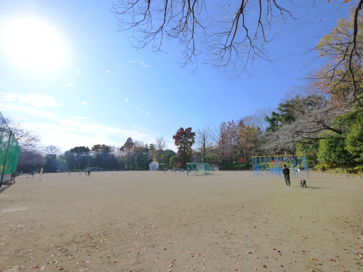 ヴィンテージ杉並・和田 杉並区立蚕糸の森公園(約350m) 杉並区立蚕糸の森公園(約350m)