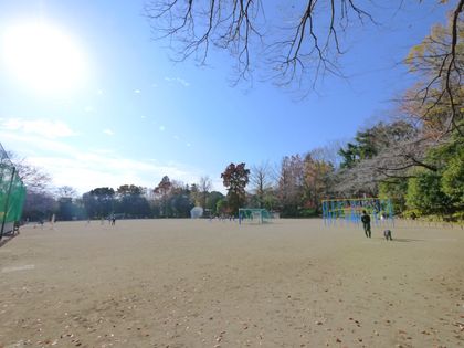 ヴィンテージ杉並・和田 杉並区立蚕糸の森公園(約350m) 杉並区立蚕糸の森公園(約350m)
