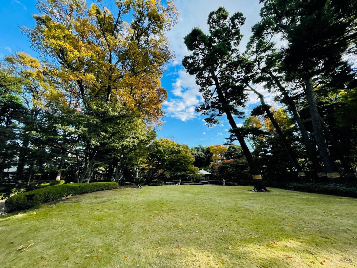 ウィルローズ阿佐ヶ谷 大田黒公園(約1680m) 大田黒公園(約1680m)