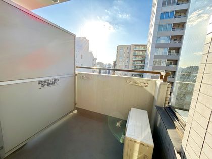 メゾン文京関口Ⅱ バルコニー バルコニー