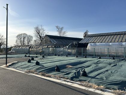 国分寺市西町3丁目 4区画 土地写真