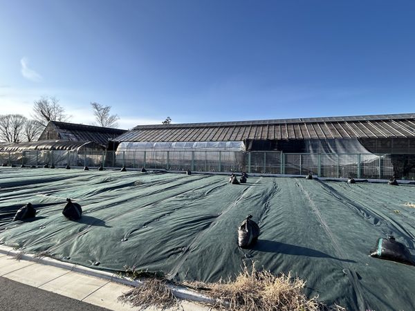 国分寺市西町3丁目 3区画 土地写真